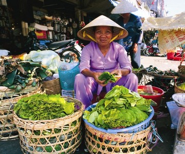 Вьетнам - отдых круглый год 
