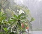 Сезон дождей в Тайланде. Достоинства и недостатки  