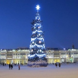 Новогодние каникулы в С-Петербурге