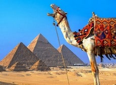 Советы туристу на отдыхе в Египте